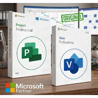 Microsoft Visio 2021 Professional · 1/1