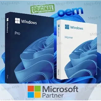 Windows 11 Pro — OEM Lisans Anahtarı · 1/1